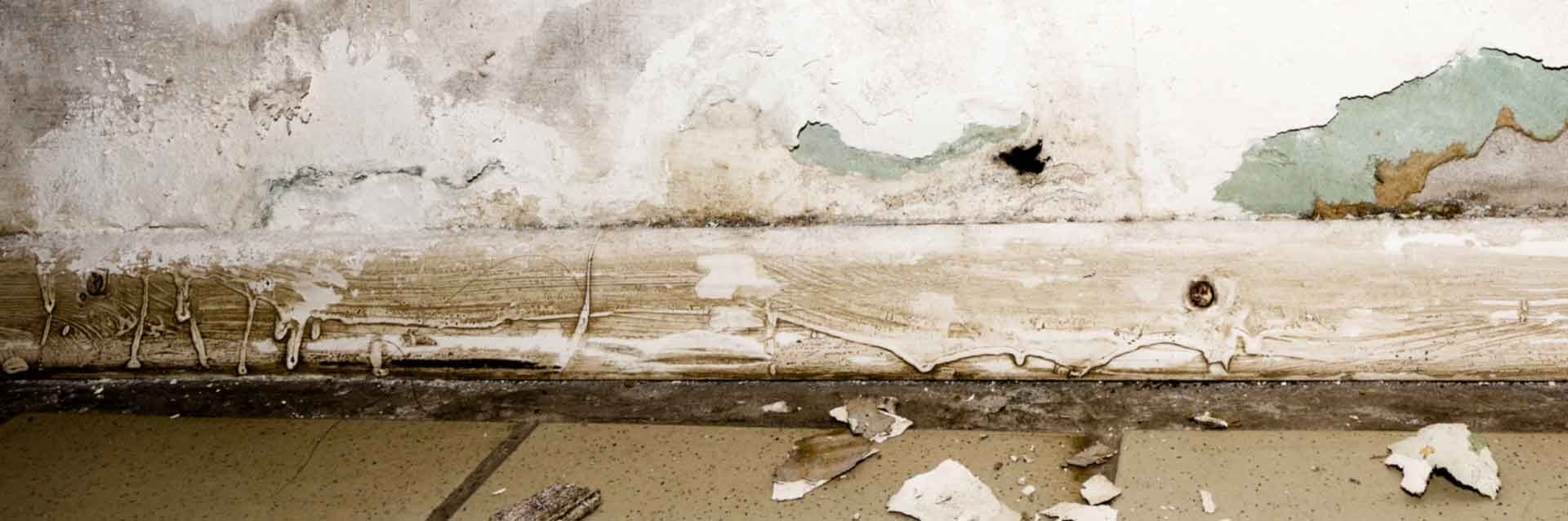 24 hour emergency water cleanup