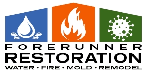 Forerunner Restoration
